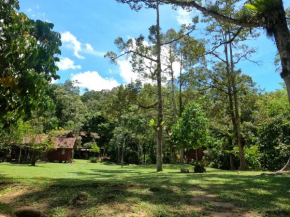 Jungle Zen Janda Baik Campsite